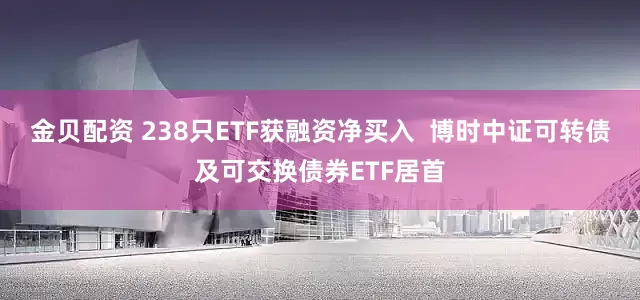 金贝配资 238只ETF获融资净买入  博时中证可转债及可交换债券ETF居首